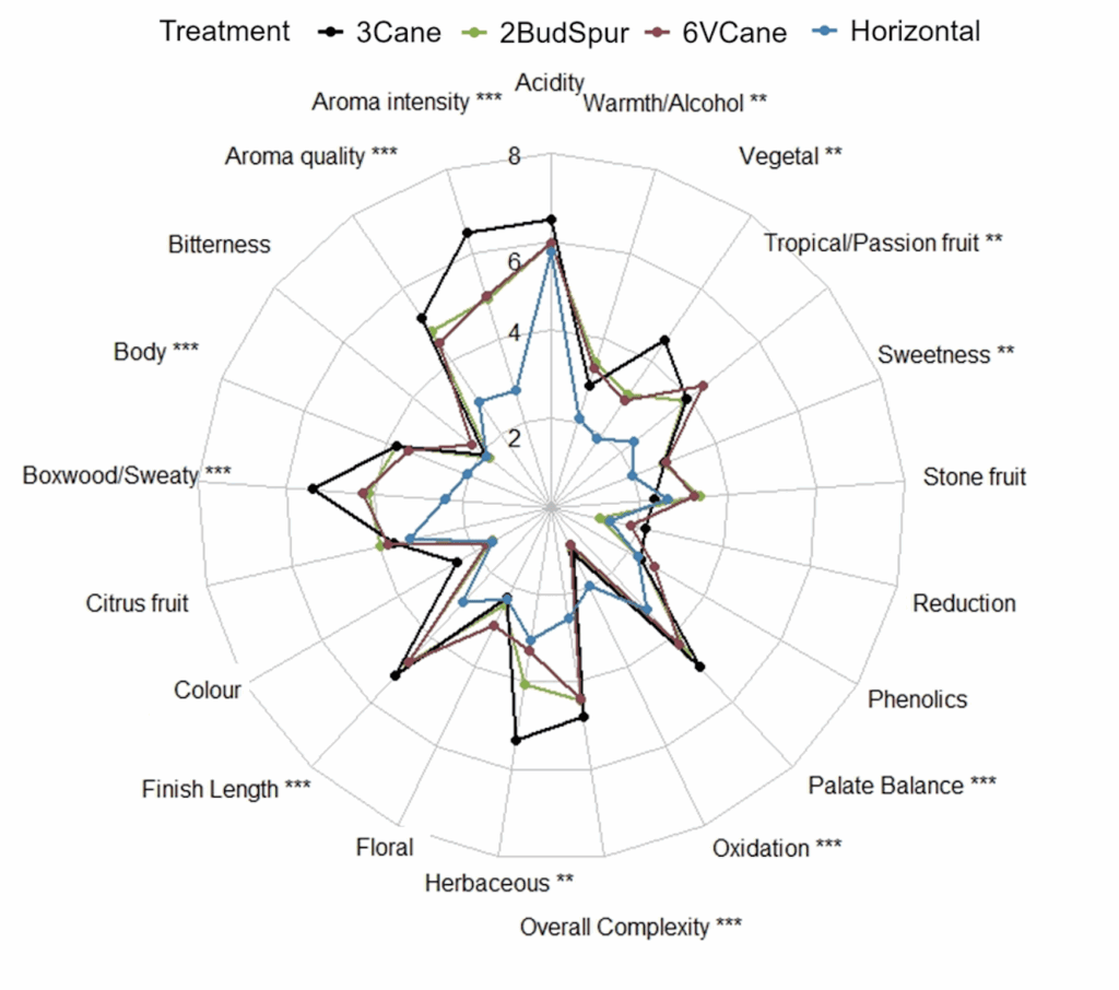 Radar chart comparing wine sensory attributes across four treatments (3Cane, 2BudSpur, 6VCane, Horizontal). Attributes include acidity, aroma quality, body, citrus fruit, phenolics, and sweetness, among others.